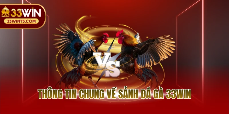 Đá gà 33WIN 1 Thông tin chung về sảnh đá gà 33WIN