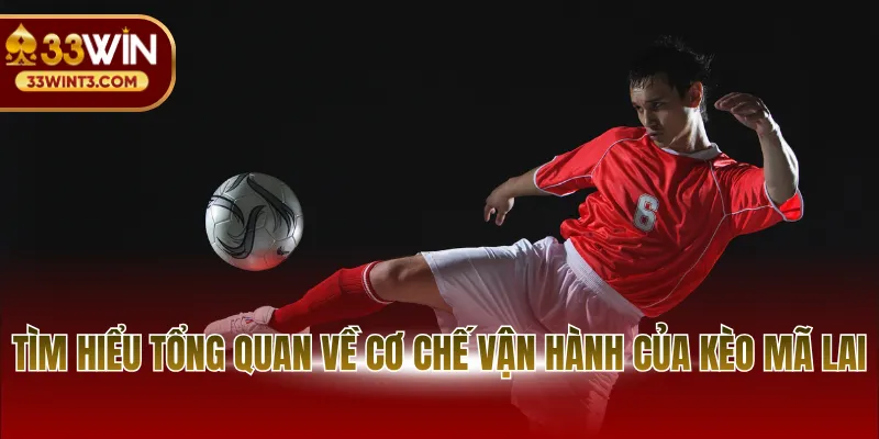 Kèo Mã Lai - Tìm Hiểu Loại Hình Odds Vô Cùng Độc Đáo 2 Tìm hiểu tổng quan về cơ chế vận hành của kèo mã lai
